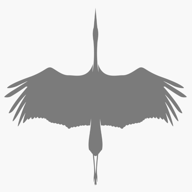 TuPortalNews